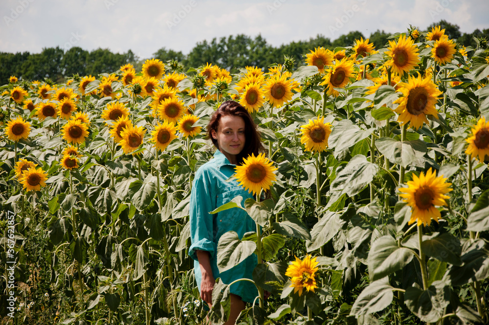 woman in sunflowers field. Portrait of young beautiful girl in field of sunflowers field. Portrait of young woman on nature by the countryside. She is standing in a field with sunflowers woman in sunflowers field. Portrait of young beautiful girl in field of sunflowers field. Portrait of young woman on nature by the countryside. She is standing in a field with sunflowers