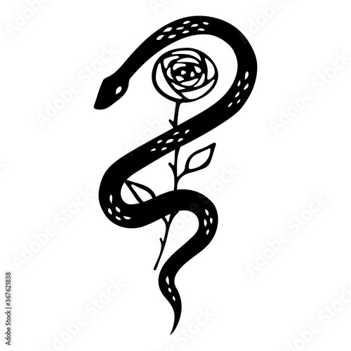 Floral Snake Snake wrapped around rose. Halloween and gothic aesthetic. Floral doodle design. Botanical elements. Rustic decorative plants. Black silhouette snake cartoon vector. photo