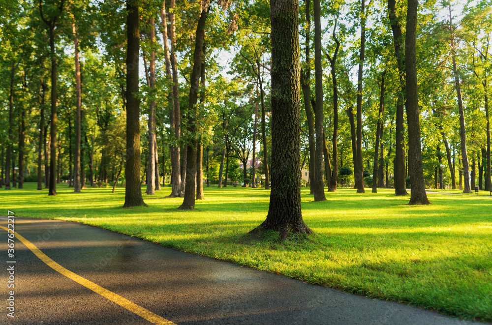 Beautiful lawn field with trees in a city park at sunset. Beautiful lawn field with trees in a city park at sunset.