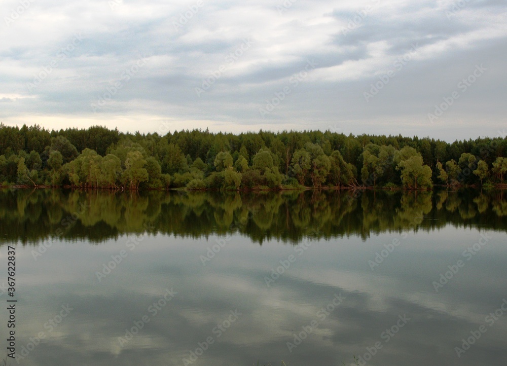 Fototapeta premium reflection of trees in water