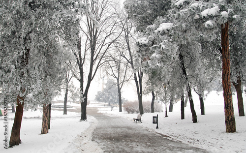 Winter scene at the Kalemegdan park in Belgrade.  © Gorart