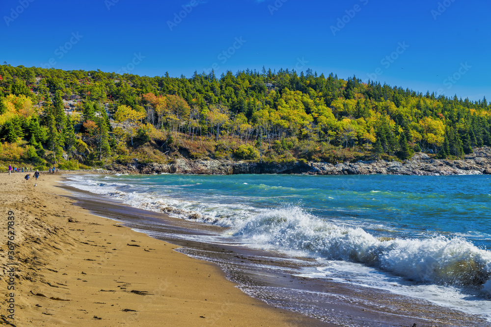 Acadia National Park, Maine. Coastline along the sea in foliage season