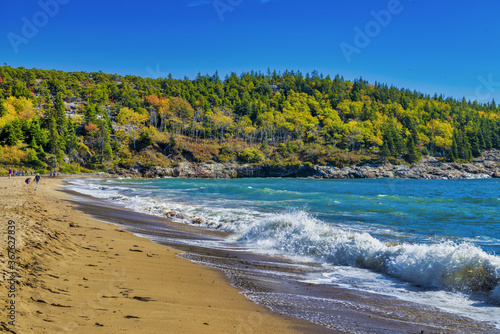 Fototapeta Naklejka Na Ścianę i Meble -  Acadia National Park, Maine. Coastline along the sea in foliage season