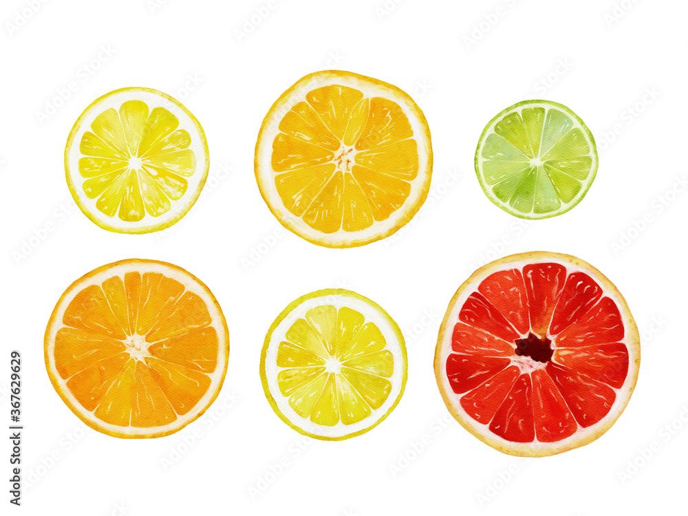 Obraz premium Watercolor banner of citrus fruits and leaves isolated on white background. Illustration for design wedding invitations, greeting cards, postcards.