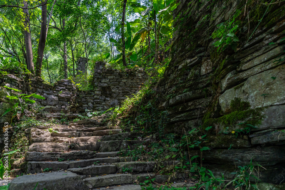 Pathway in the middle of abandoned jungle village in China Pathway in the middle of abandoned jungle village in China