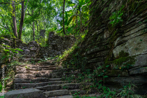 Pathway in the middle of abandoned jungle village in China