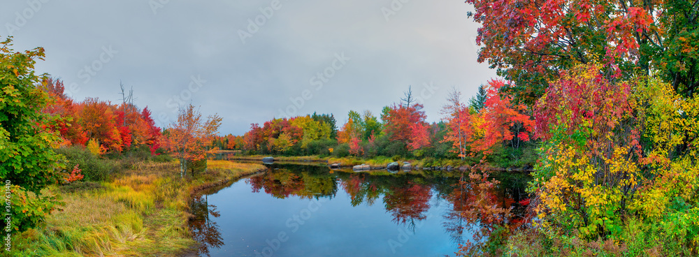 Mount Desert Narrows in Maine. Beautiful foliage environment with trees reflections