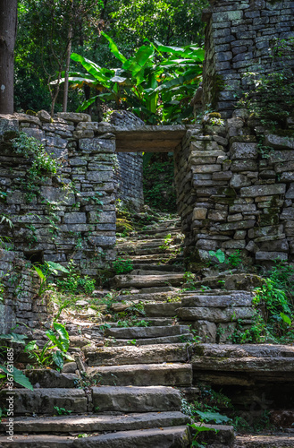 Pathway in the middle of abandoned jungle village in China © Pav-Pro Photography 