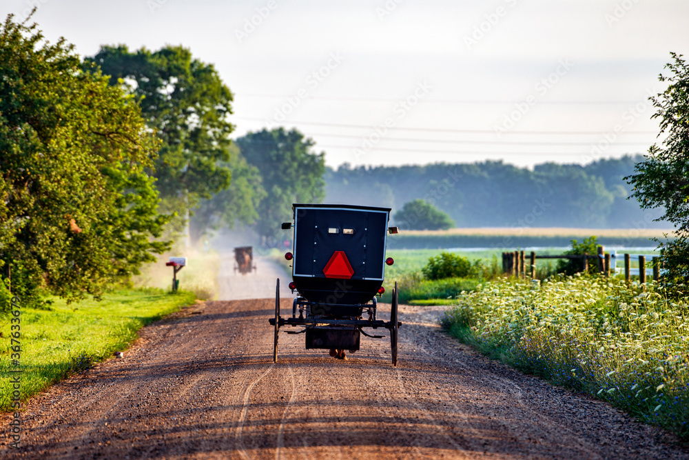 Amish Buggies on Rural Indiana Road in Summer