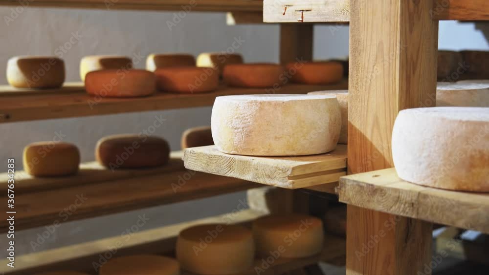 Cheese farm shelves close-up. Assortment of milk products on eco-friendly farmer store. Suluguni, parmesan pieces, smoked cheeses and others. Food business online. Dairy factory production closeup. Cheese farm shelves close-up. Assortment of milk products on eco-friendly farmer store. Suluguni, parmesan pieces, smoked cheeses and others. Food business online. Dairy factory production closeup.