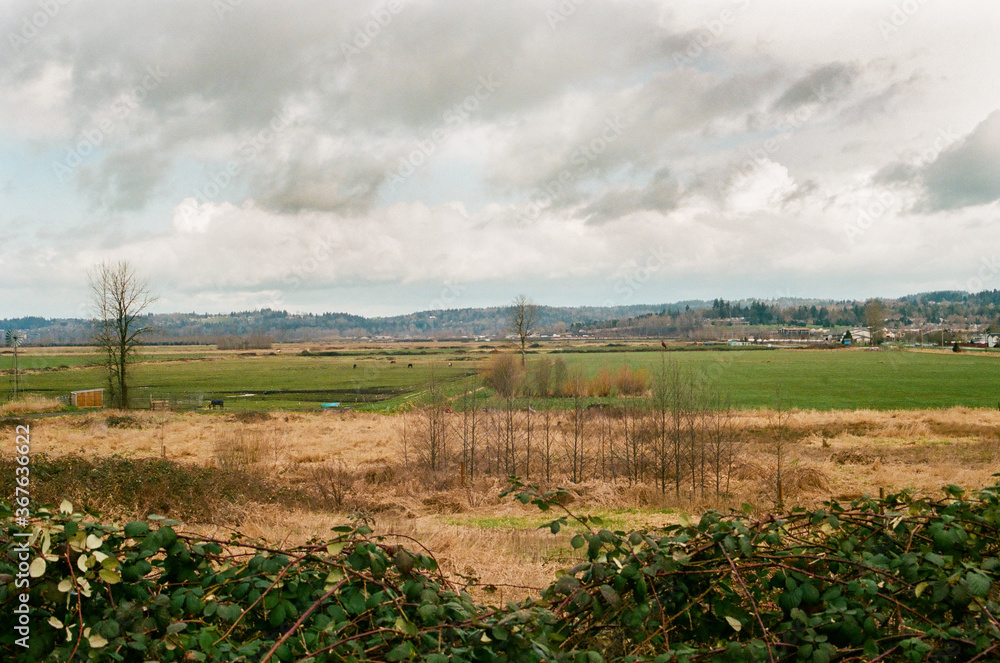 Fototapeta premium storm over the farm