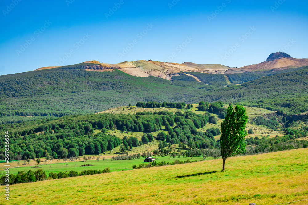 Obraz premium tree and mountain
