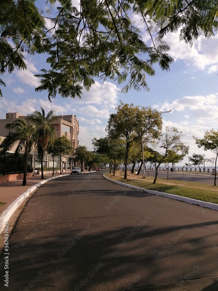 Calle asfaltada con árboles en paseo Costanera