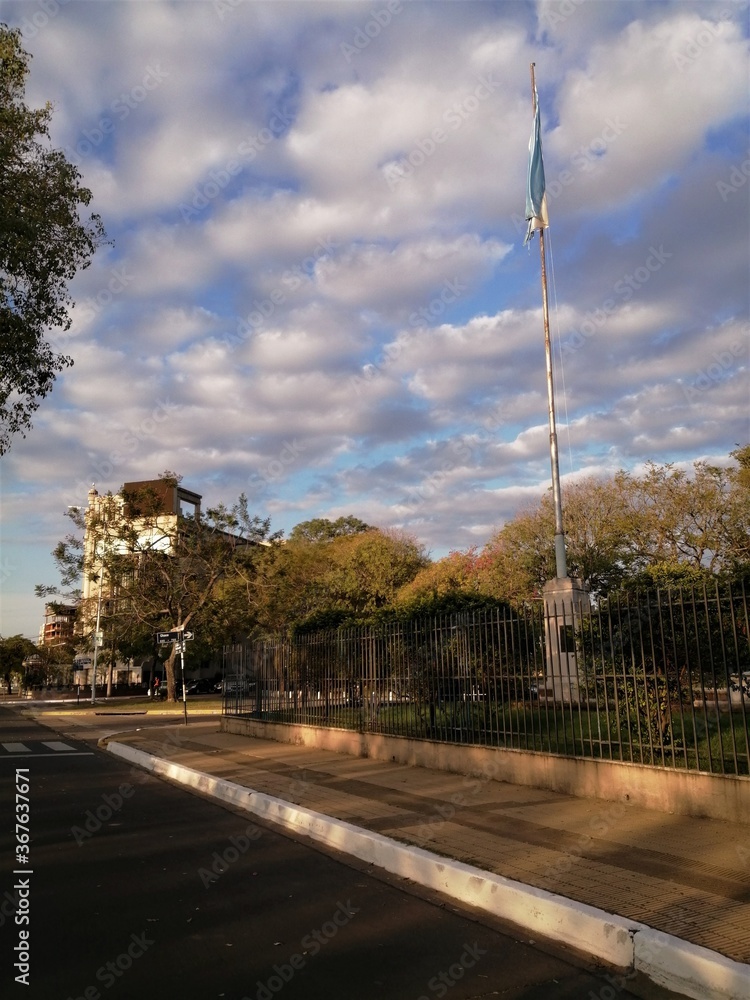 Calle asfaltada con árboles y bandera argentina
