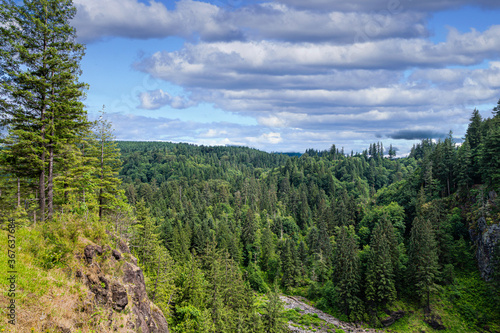 Evergreen Vista in Washington near Snoqualmie Falls