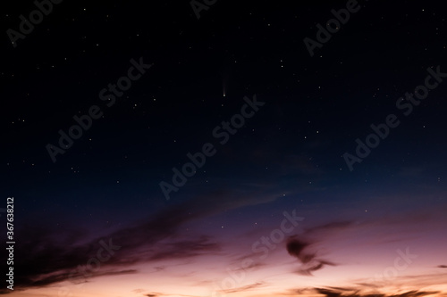 Neowise C 2020 F3 comet visible in the starry night sky at sunset in July. Space and stars beautiful background