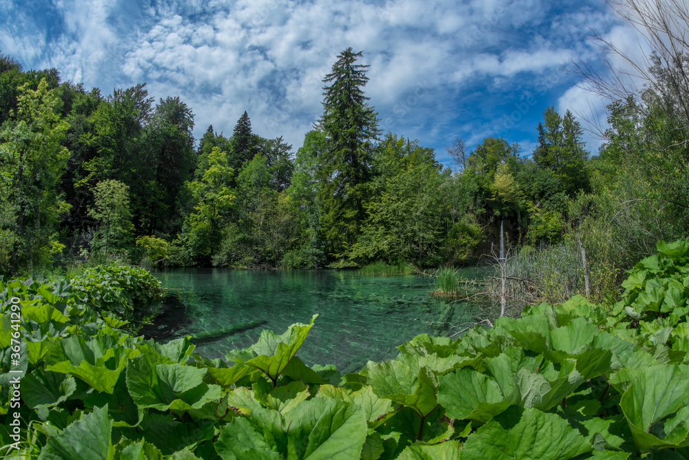 lake and forest in plitvice