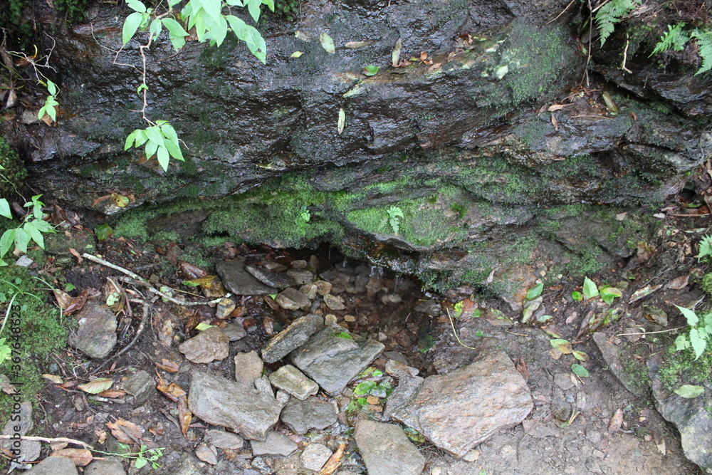 Obraz premium stream