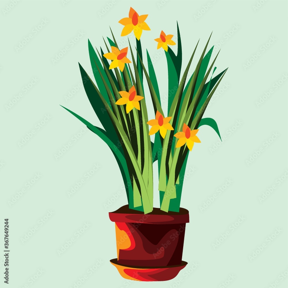 yellow flower plant pot yellow flower plant pot