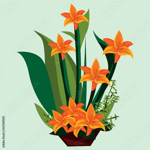 flower plant