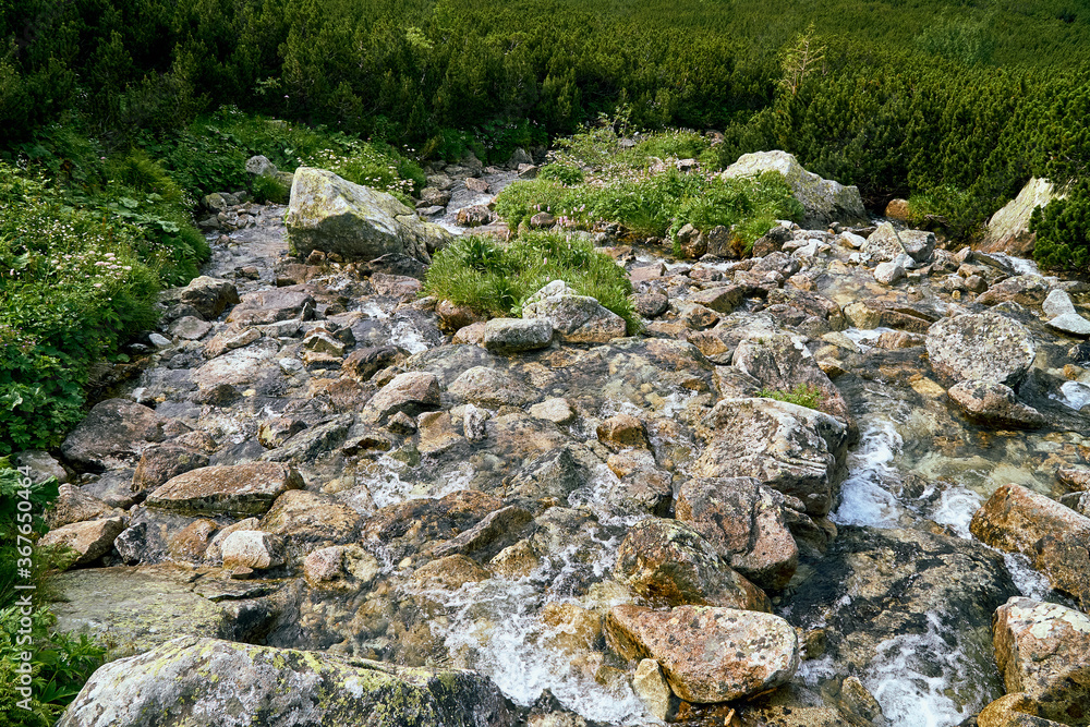 Mountain fresh, cold stream with drinking clean water in High Tatras National Park, Slovakia, Europe. Beautiful world.