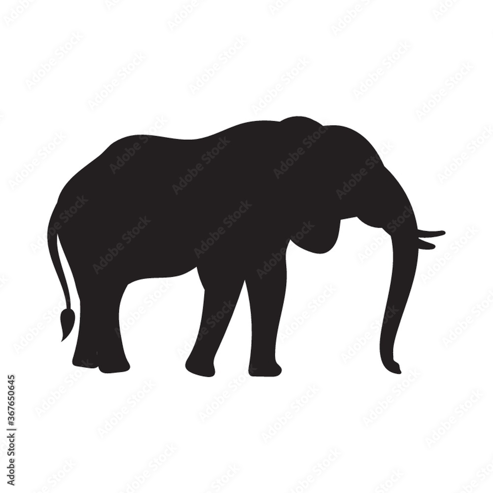 elephant silhouette elephant silhouette