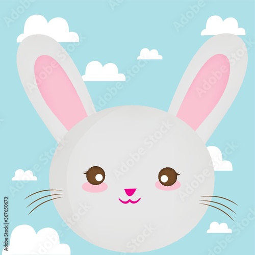 rabbit face on cloud background