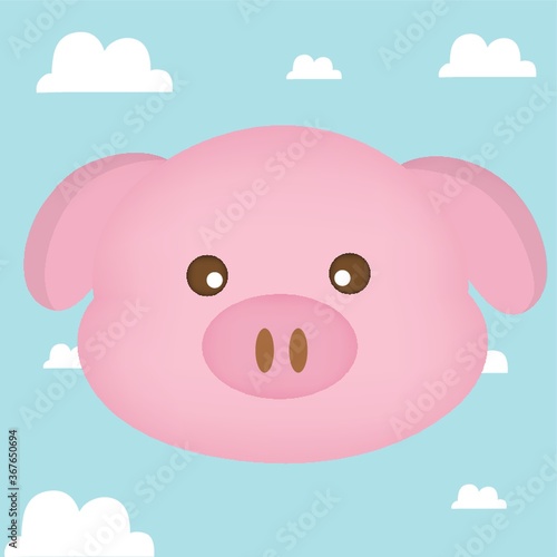 pig face on cloud background
