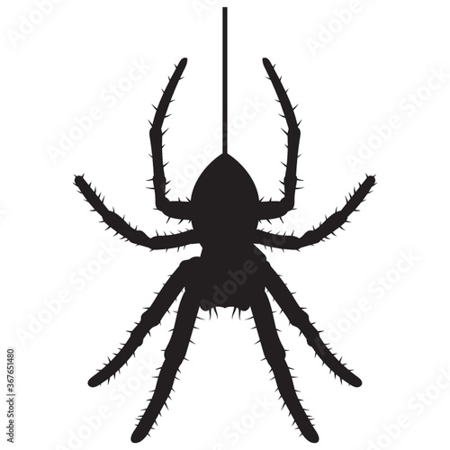 spider silhouette