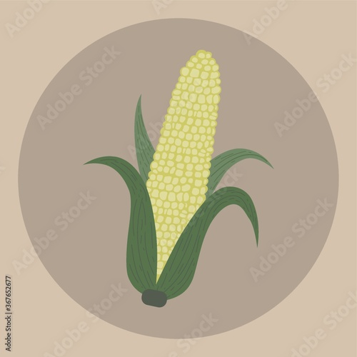 corn