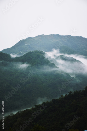 Ethereal fog flowing over the forested mountain side, south of Taipei City, Taiwan (portrait)