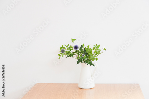 横　白背景　白い花瓶と観葉植物　アザミ　あざみ　シンプル　ナチュラル　心地よい　コピースペース　ホワイトスペース　文字スペース　余白　爽やか　夏　春　白　壁　グラフィック素材