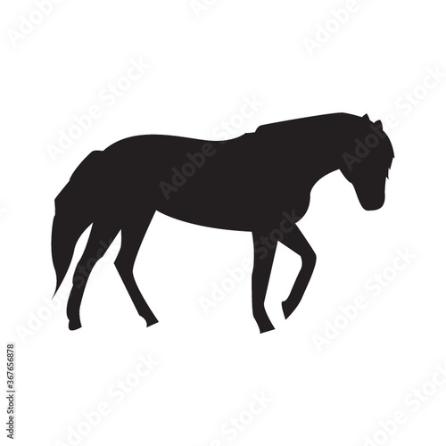 silhouette of horse