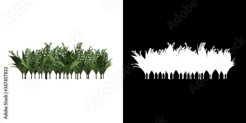 Front view of floral plant (Convallaria majalis) png with alpha channel to cutout 3D rendering
