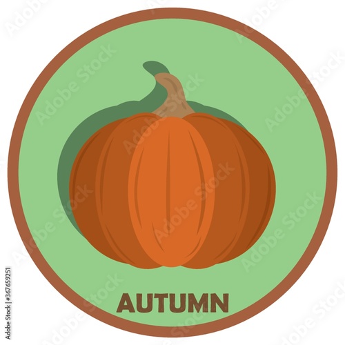 pumpkin