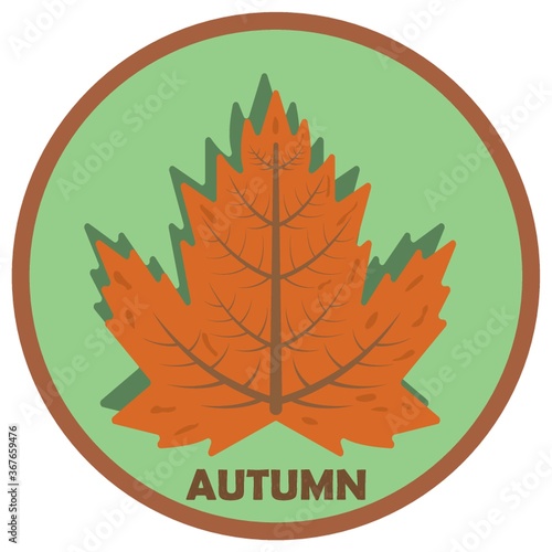 maple leaf