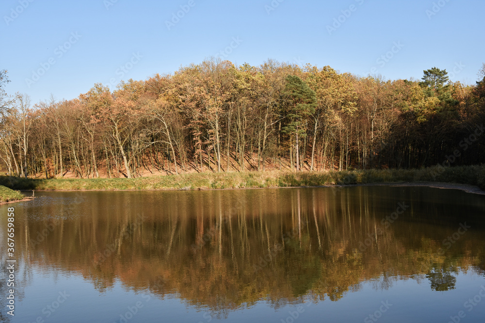 reflection of trees in the water in the autumn forest