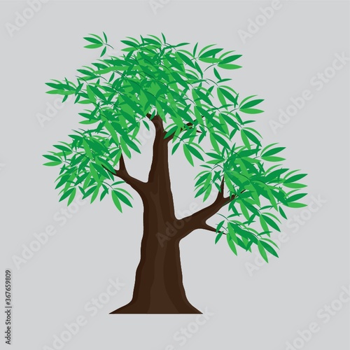 tree
