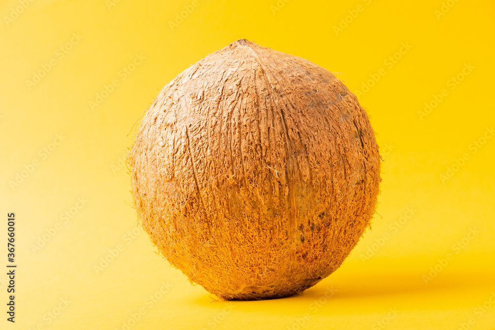 Happy coconuts day concept, whole coconut, studio shot isolated on yellow background, Tropical fruit Happy coconuts day concept, whole coconut, studio shot isolated on yellow background, Tropical fruit