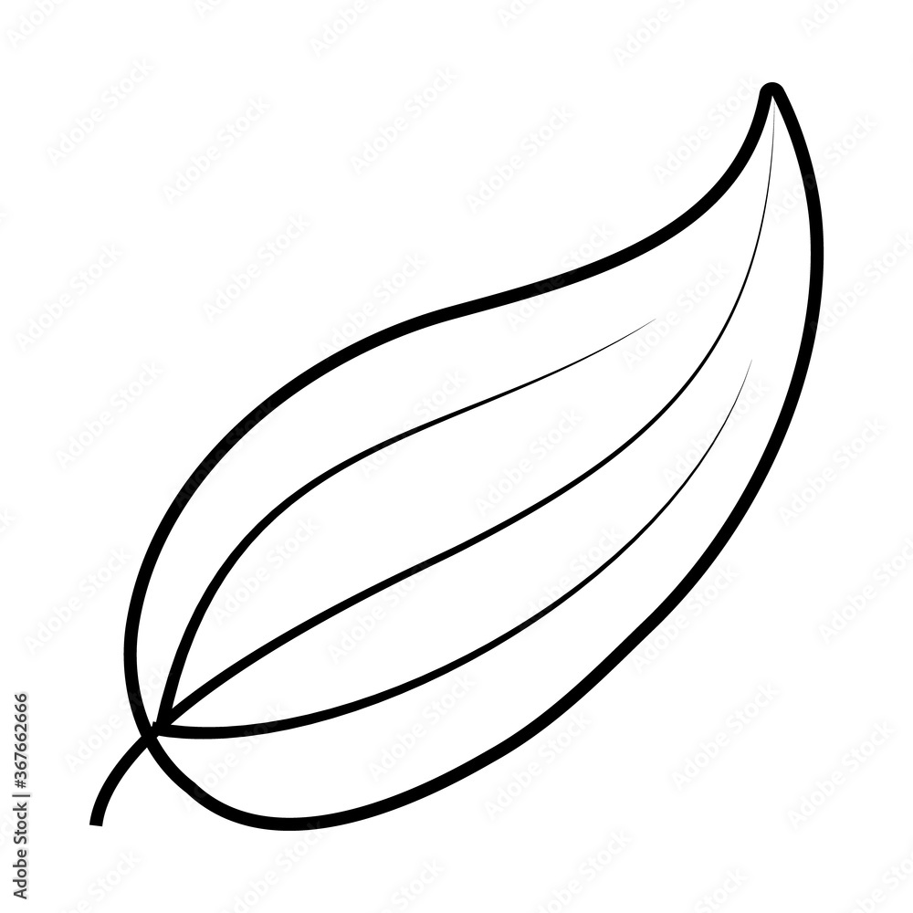tropical leaf line style icon vector design tropical leaf line style icon vector design