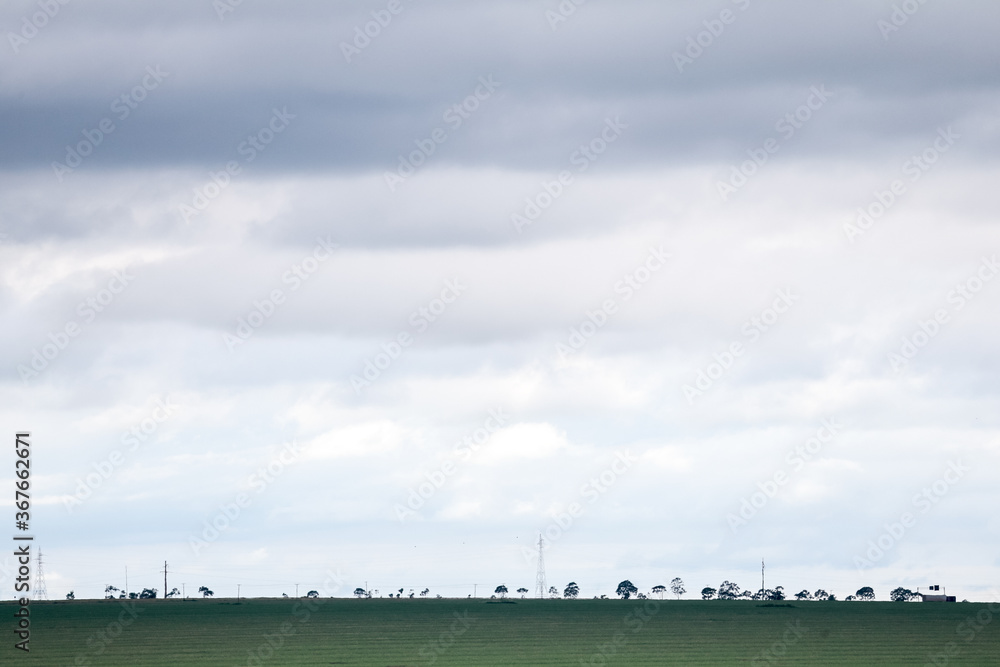 Fototapeta premium cloudy and sunny field crop landscape with beautiful sun rays and clouds shallow focus