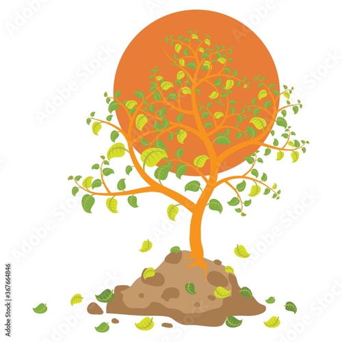 tree with fallen leaves