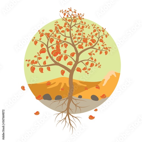 tree with fallen leaves