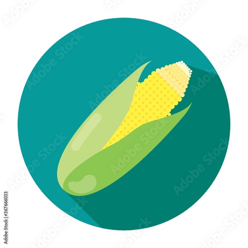 corn cob