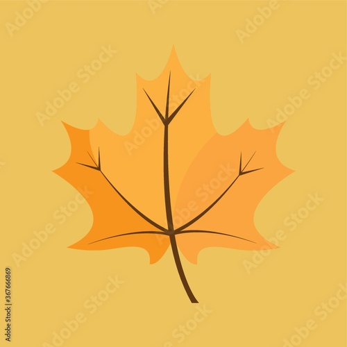 autumn maple leaf