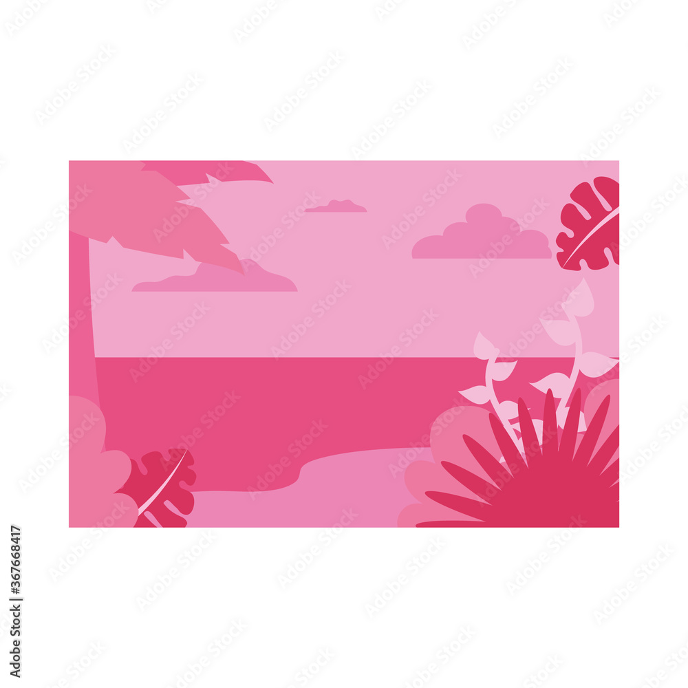 Summer pink banner with palm tree and leaves at beach vector design