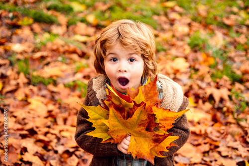 Happy child throws autumn leaves and laughs outdoors.