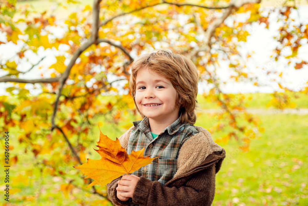 Autumn portrait of cute little boy. Child with leaf in autumn park. Autumn portrait of cute little boy. Child with leaf in autumn park.