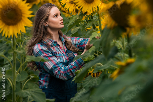 Energetic, female farmer examining sunflowers in the middle of a beautiful sunflower field.