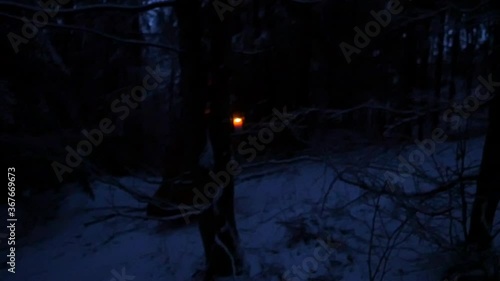 Woman holding a lantern walking in the forest in the winter at Dawn. Wearing a ball dress. Slow Motion